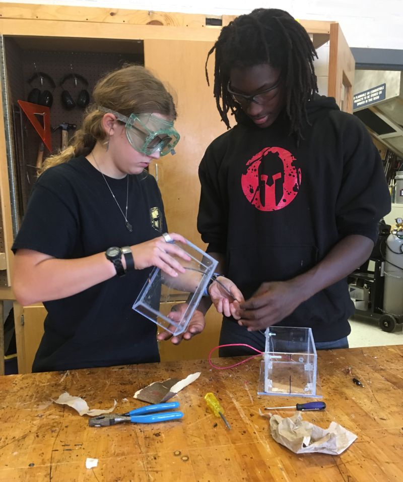 engineering gel electrophoresus box